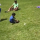 Illustration for article titled Tiny Baseball Fella Demonstrates Advanced, Noggin-Based Fielding Technique